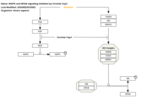MAPK and NFkB signaling pathways inhibited by Yersinia YopJ