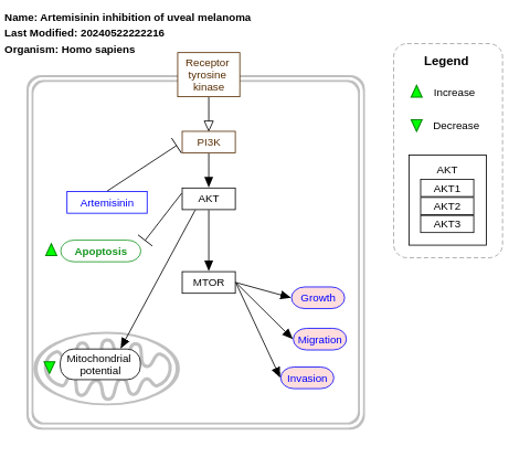 Artemisinin inhibition of uveal melanoma