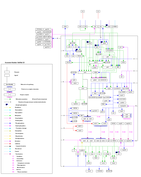 IL-6 signaling pathway