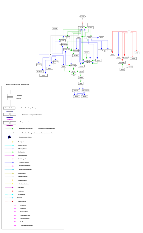 IL-7 signaling pathway
