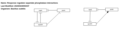 Response regulator aspartate phosphatase interactions