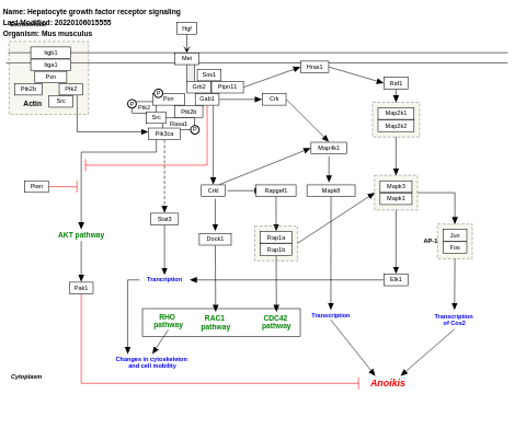 Hepatocyte growth factor receptor signaling