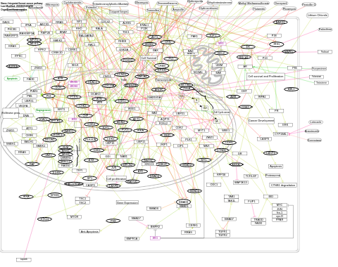 Integrated breast cancer pathway