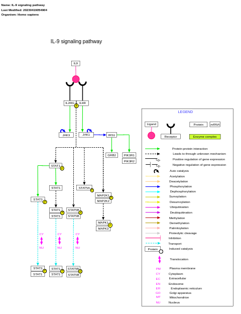 IL-9 signaling pathway