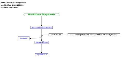 Oryzalexin S biosynthesis