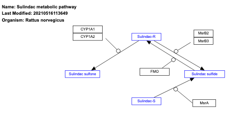 Sulindac metabolic pathway