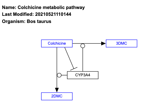 Colchicine metabolic pathway