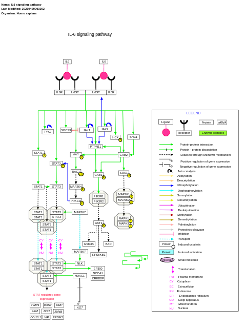 IL6 signaling pathway