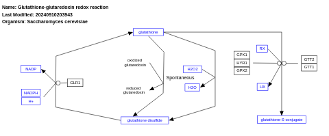 Glutathione-glutaredoxin redox reaction