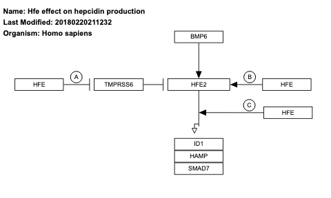 Hfe effect on hepcidin production