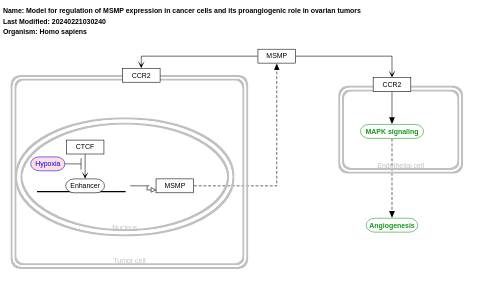 Model for regulation of MSMP expression in cancer cells and its proangiogenic role in ovarian tumors