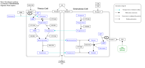 Steroidogenic pathway