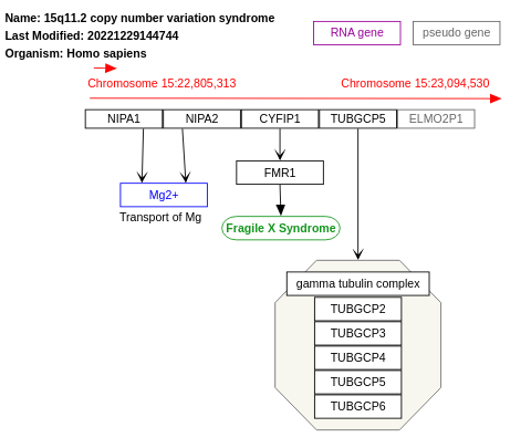 15q11.2 copy number variation syndrome