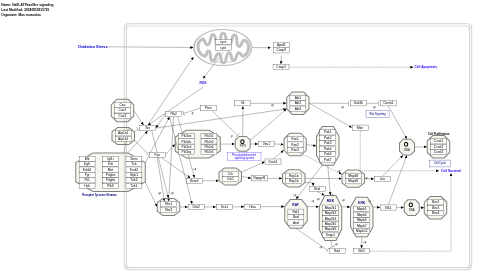 Na/K-ATPase/Src signaling