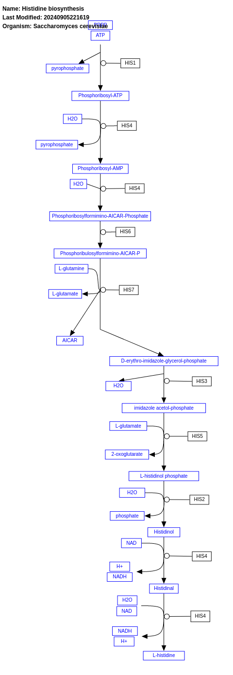 Histidine biosynthesis