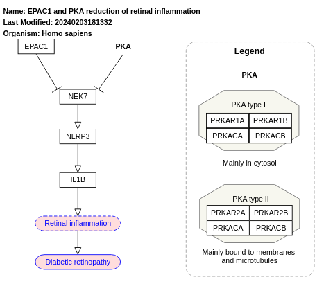 EPAC1 and PKA reduction of retinal inflammation