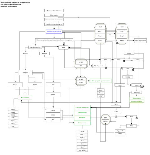 Molecular pathway for oxidative stress