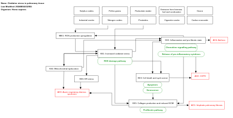 Oxidative stress in pulmonary tissue