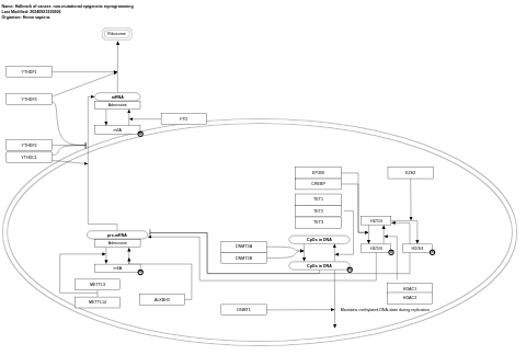 Hallmark of cancer: non-mutational epigenetic reprogramming