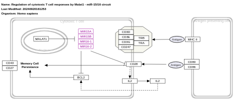 Regulation of cytotoxic T cell responses by Malat1 - miR-15/16 circuit 