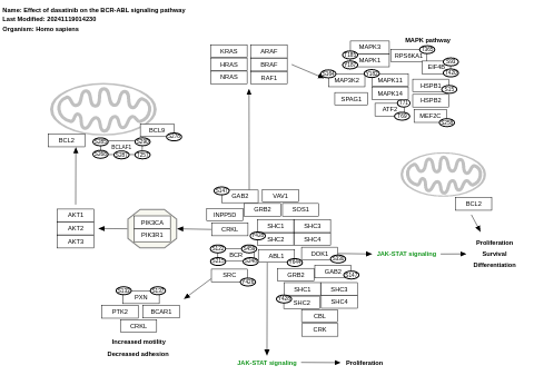 Effect of dasatinib on the BCR-ABL signaling pathway