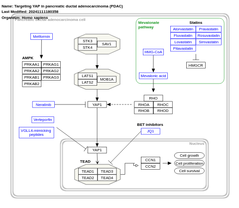 Targeting YAP in pancreatic ductal adenocarcinoma (PDAC)