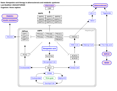 Bempedoic acid therapy in atherosclerosis and metabolic syndrome