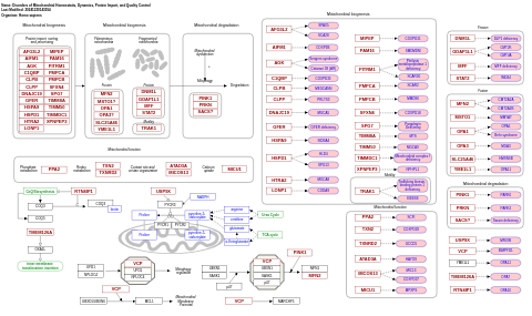 Disorders of Mitochondrial Homeostatis, Dynamics, Protein Import, and Quality Control