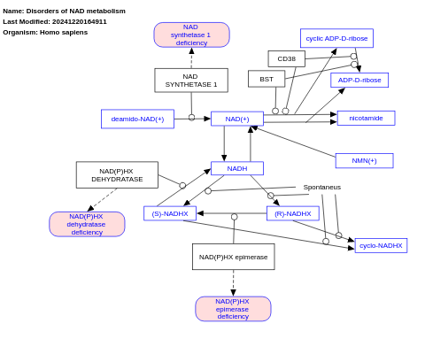 Disorders of NAD metabolism