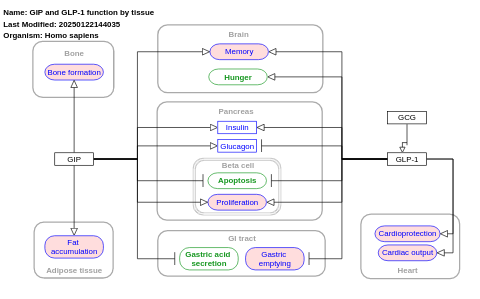 GIP and GLP-1 function by tissue