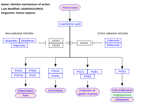 NSAIDs mechanism of action