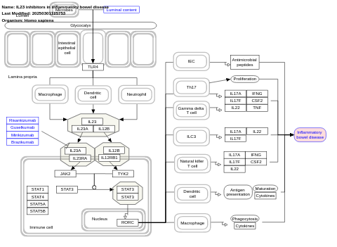 IL23 inhibitors in inflammatory bowel disease