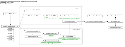 Perturbed thyroid hormone homeostasis leading to developmental neurotoxicity