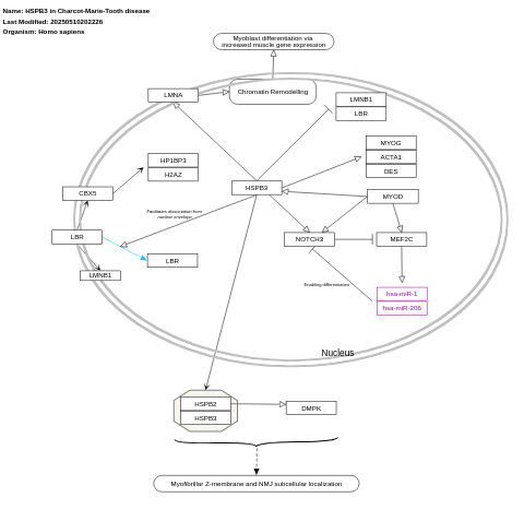 HSPB3 in Charcot-Marie-Tooth disease